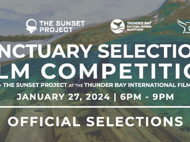 2024 Sanctuary Selections Film Competition Official Film Selections