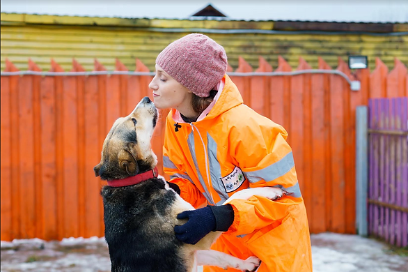 Снимок экрана 2021-01-14 в 23.06.37.png