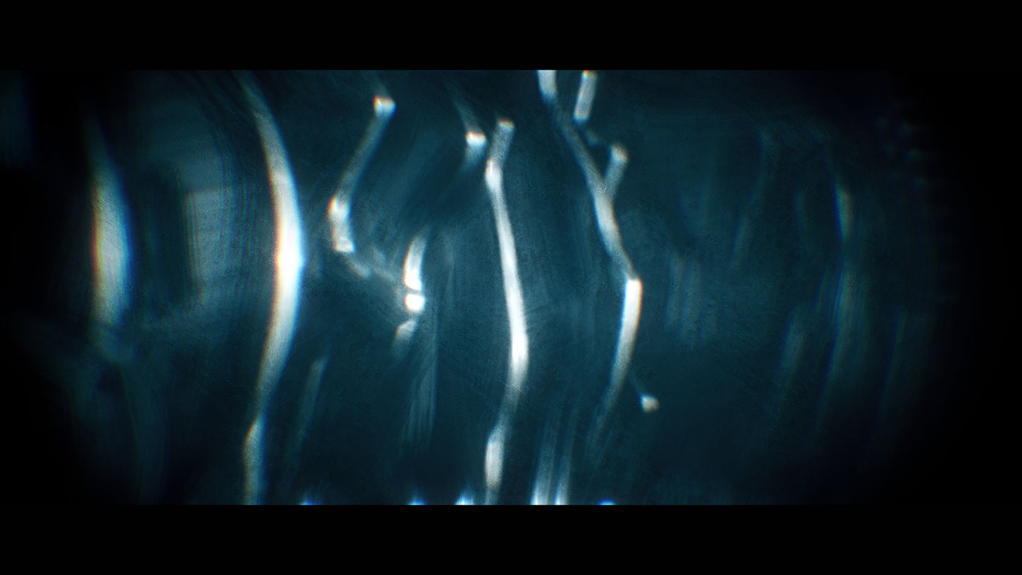 The whales  (00927).jpeg