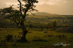 Emsworthy