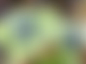 Charlotte FC Stock Up, Stock Down: Biel brace; Vargas electric off the bench; Abada Struggles