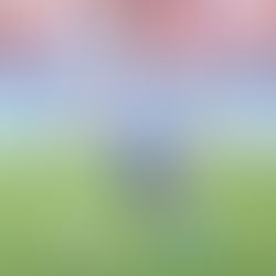 Charlotte FC are closing in on USMNT defender Tim Ream