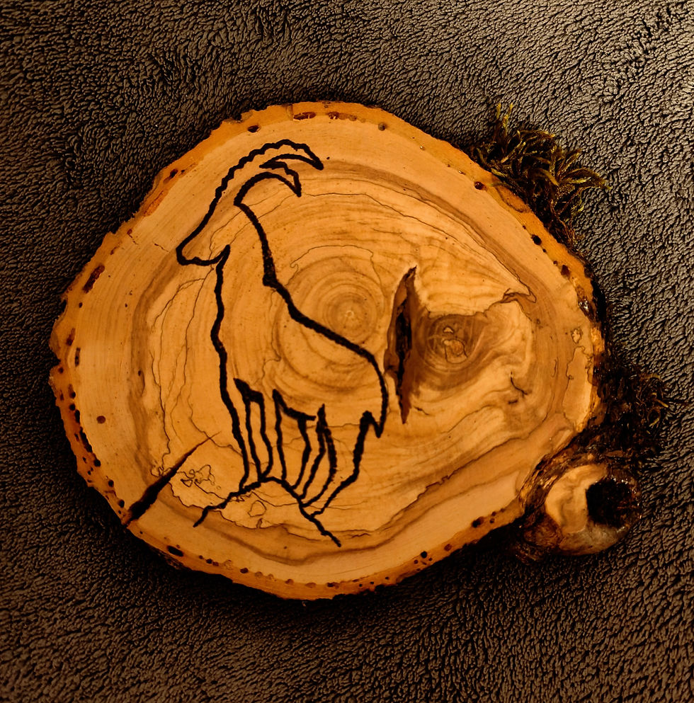 Holzbrennwerk Steinbock