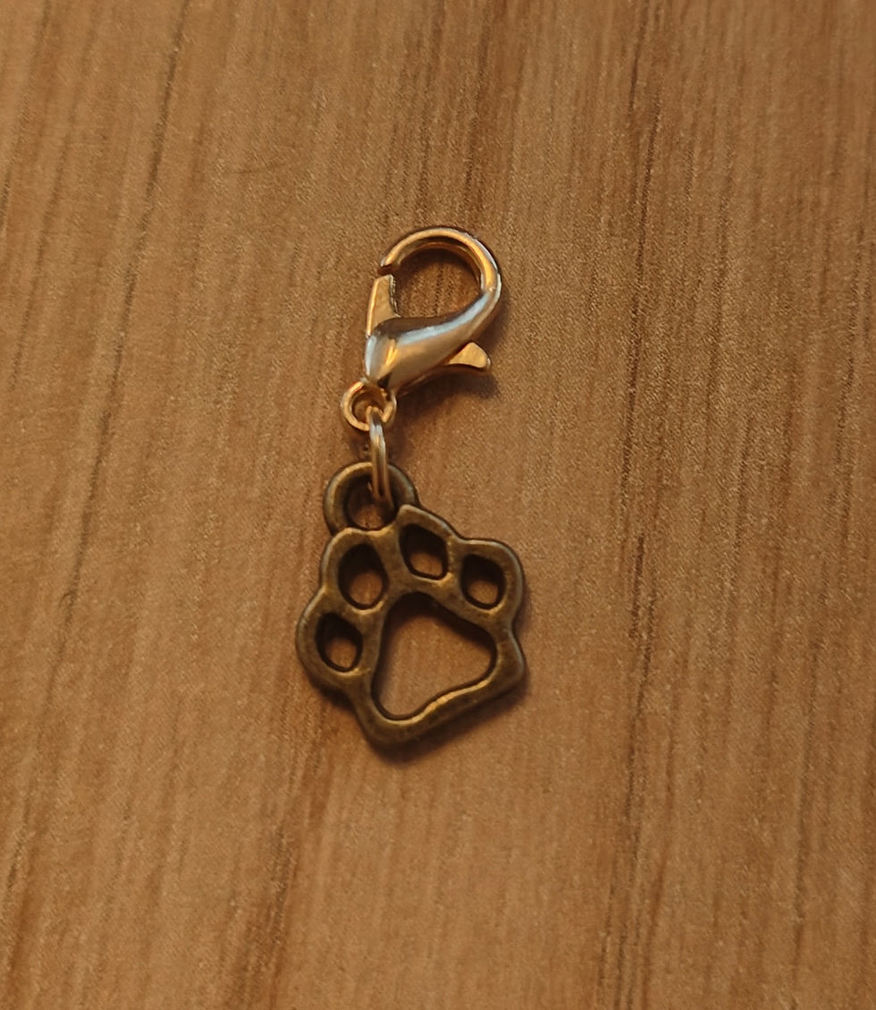 Miniaturbild: Hundehalsband Grösse XS - S