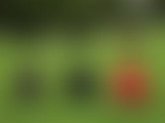 海辺での強い味方!