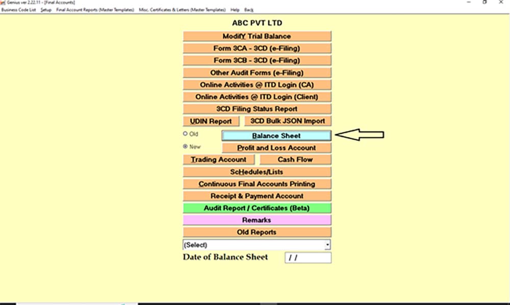 Genius Software Balance Sheet Tab