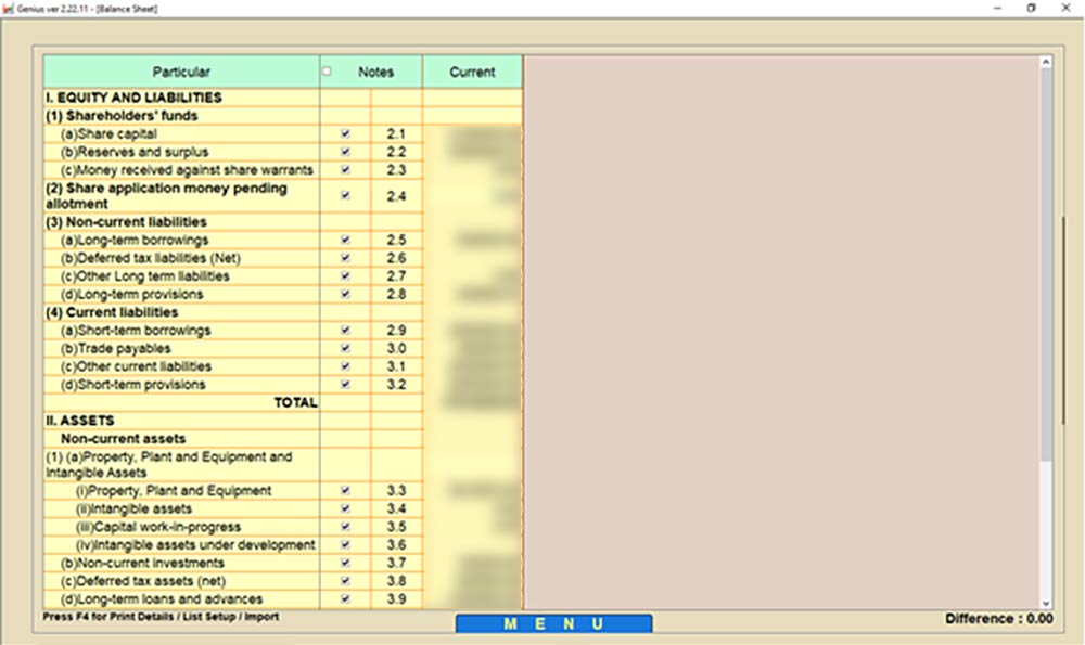 Genius Balance Sheet Prepared