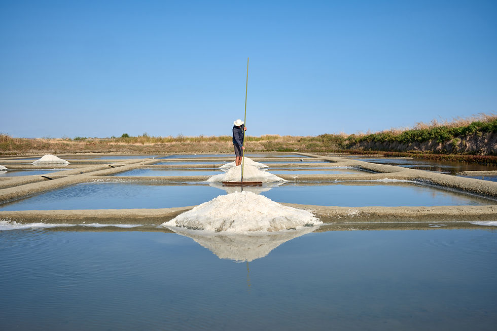 FRANCE - LE PALUDIER GUERANDAIS-19.jpg