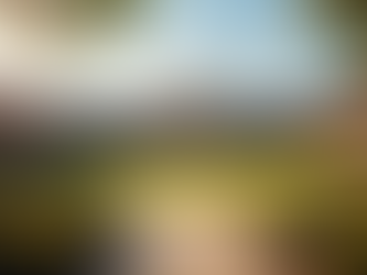 Forecasting Educativo: Alternativas de Estudio en Australia