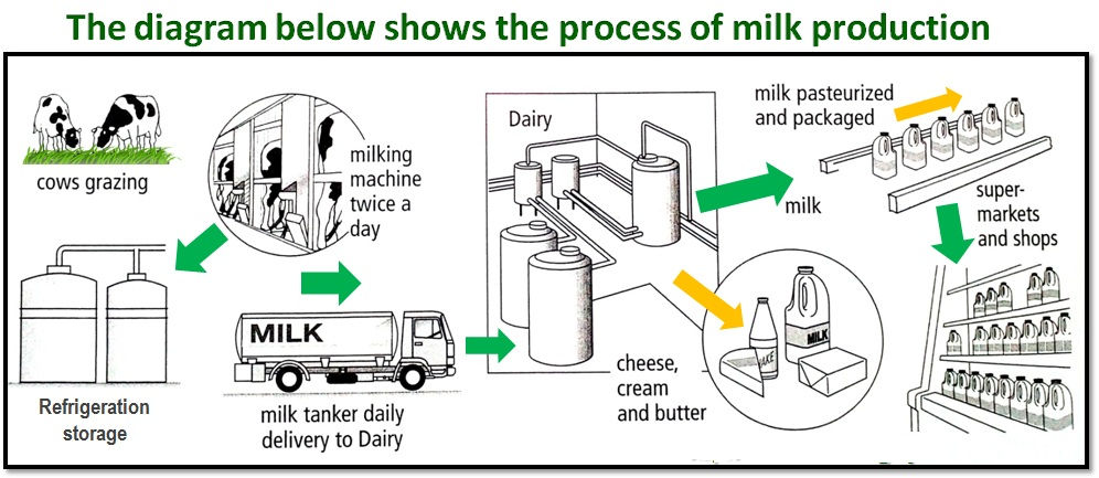 Raw materials used in dairy industry Raw materials used in dairy industry image