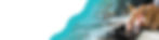 Digital-Marketing-Services.jpg