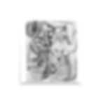 Thumbnail: Alocasia Reverie