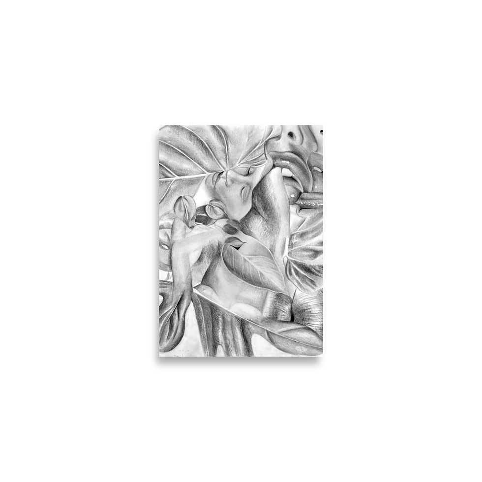 Thumbnail: Philodendron Allure