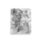 Thumbnail: Alocasia Reverie