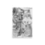 Thumbnail: Alocasia Reverie