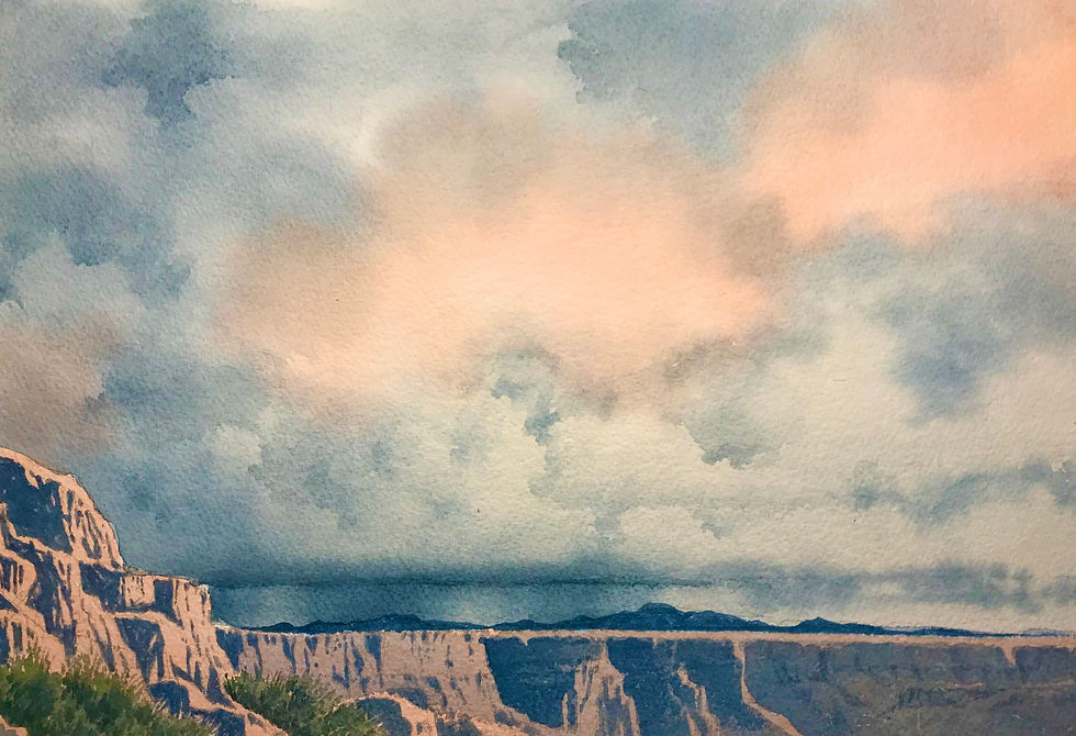 CANYON T-STORM 10 X 1511-16-20 _ 10 x 15