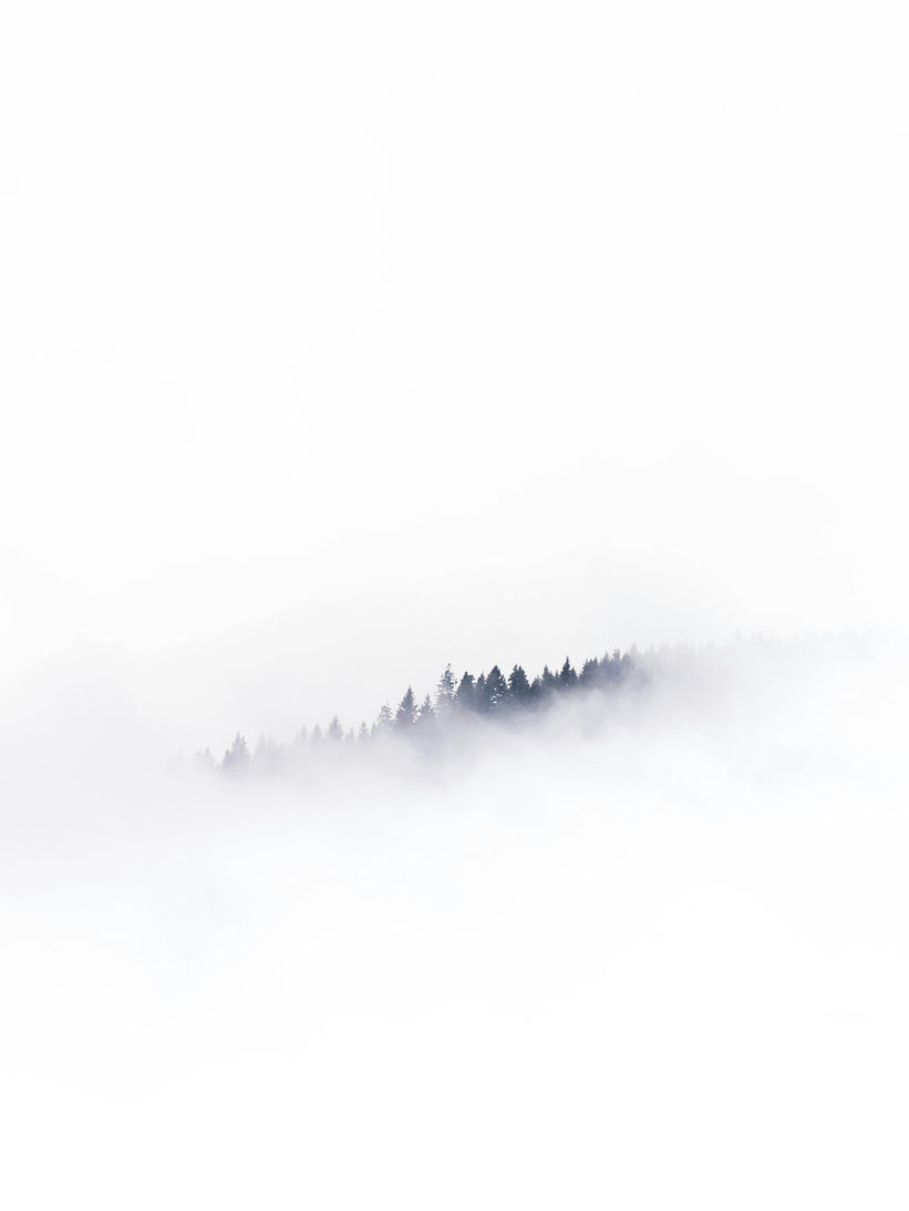 mads-schmidt-rasmussen-6YmzwamGzCg-unsplash.jpg