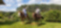 20230928_101528.jpg