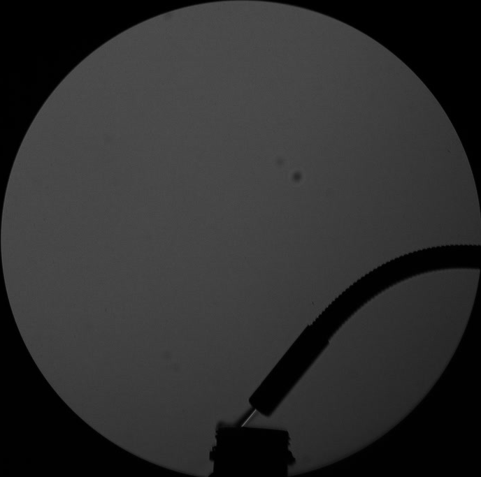 pulsating combustion of alcohol visualized by schlieren technology