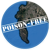 PFP Logo_04.png