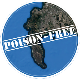 PFP Logo_04.png