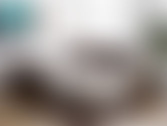 Selecting The Best Quality Sofa Bed: Important Considerations