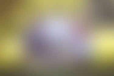 The Ryans ~ St. Margaret's Bay Family Photographer