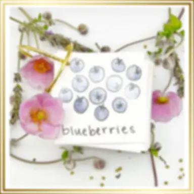 Flashcards