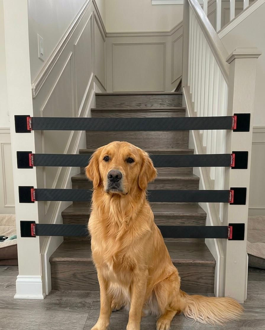 Protect Your Pets with StrapsALL's Pawsitively Out™ - The Ultimate Pet Rubber Grip-Guard Stair & Doorway Strap