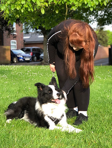 Mickey - front page 2_edited.jpg