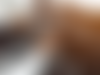 Guía Completa para Comprender los Tipos de Cobertura de Seguro de Auto