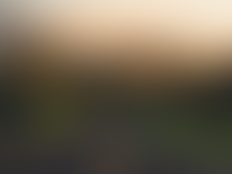 Cómo Reducir los Costos de tu Seguro de Auto: Consejos Prácticos para Ahorrar Dinero