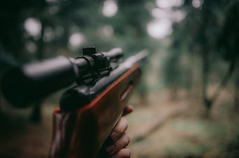 sebastian-pociecha-z40srU0ugCk-unsplash.