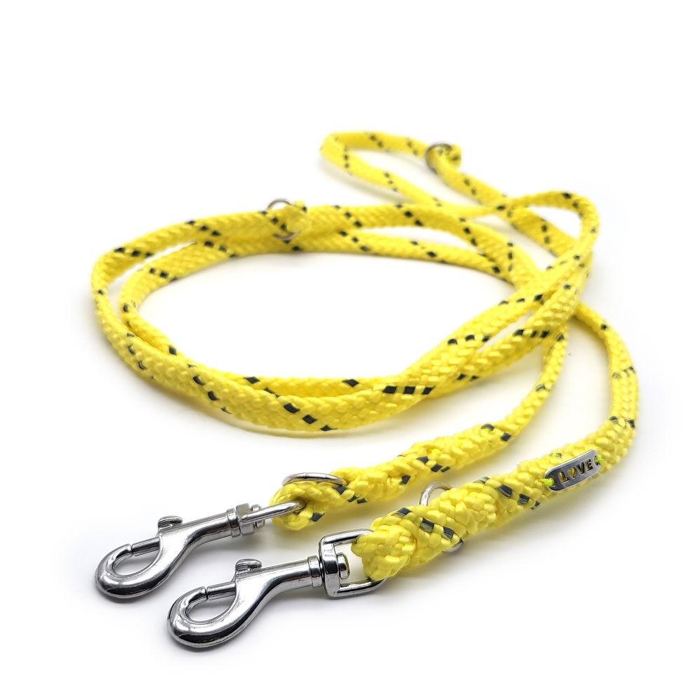 Verstellbare Leine "Neon Gelb - Reflectable" aus flachem 8mm PPM