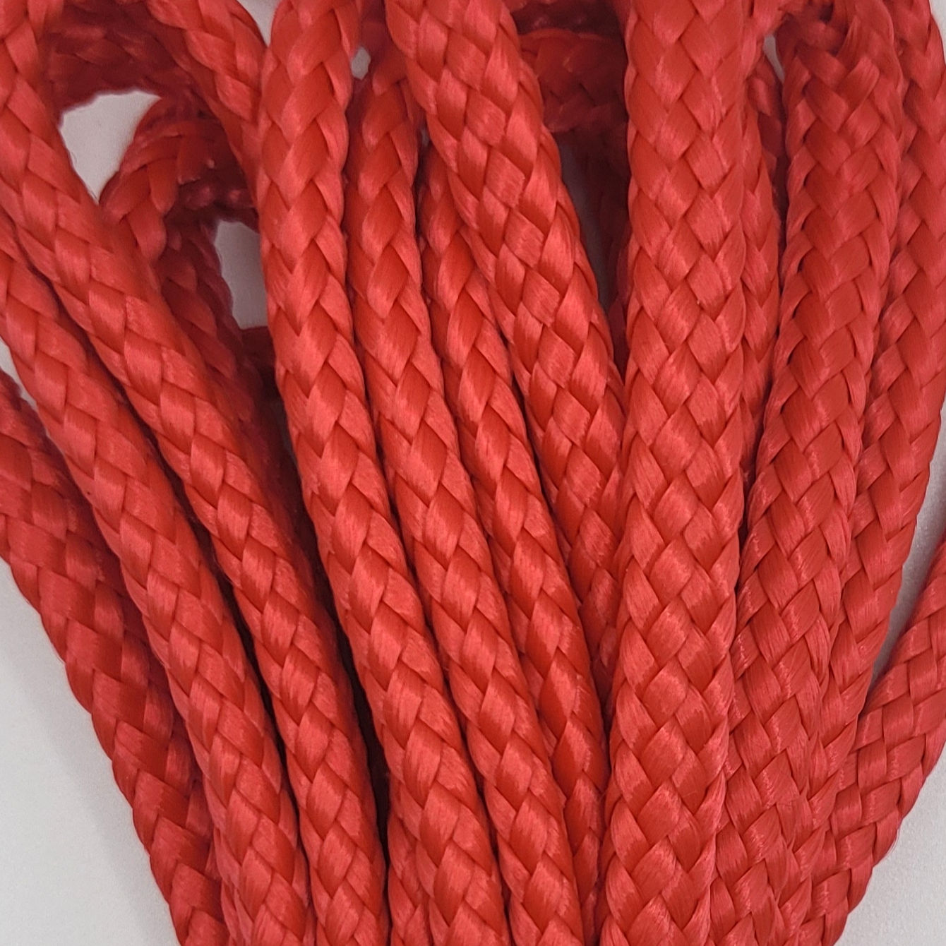 Rot - XS Führleine aus flachem 6mm PPM-Tau