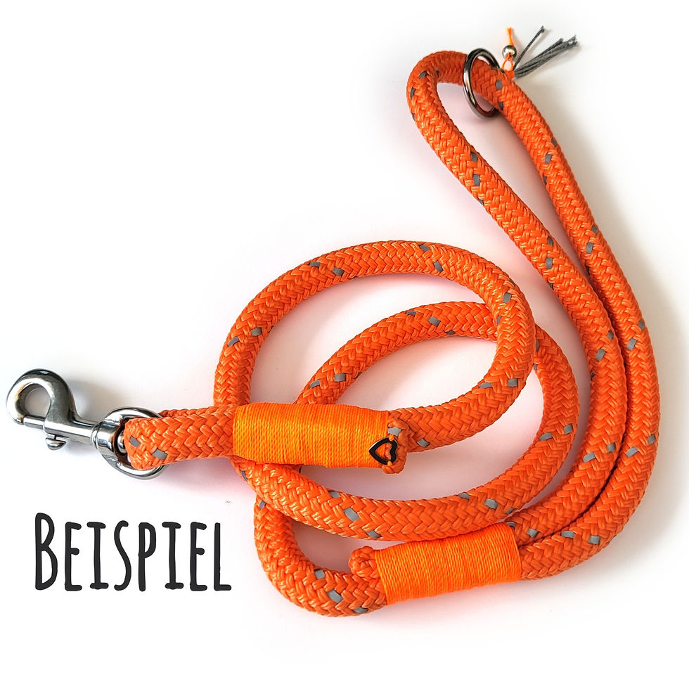 Miniaturbild: Neon Orange Reflectable - Führleine 12mm PPM-Tau