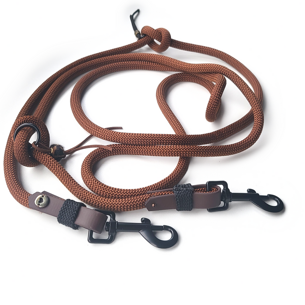 Miniaturbild: Verstellbare Leine "Chocolate&Black@Biothane" aus Premiumtau