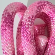 Wild Fuchsia.webp