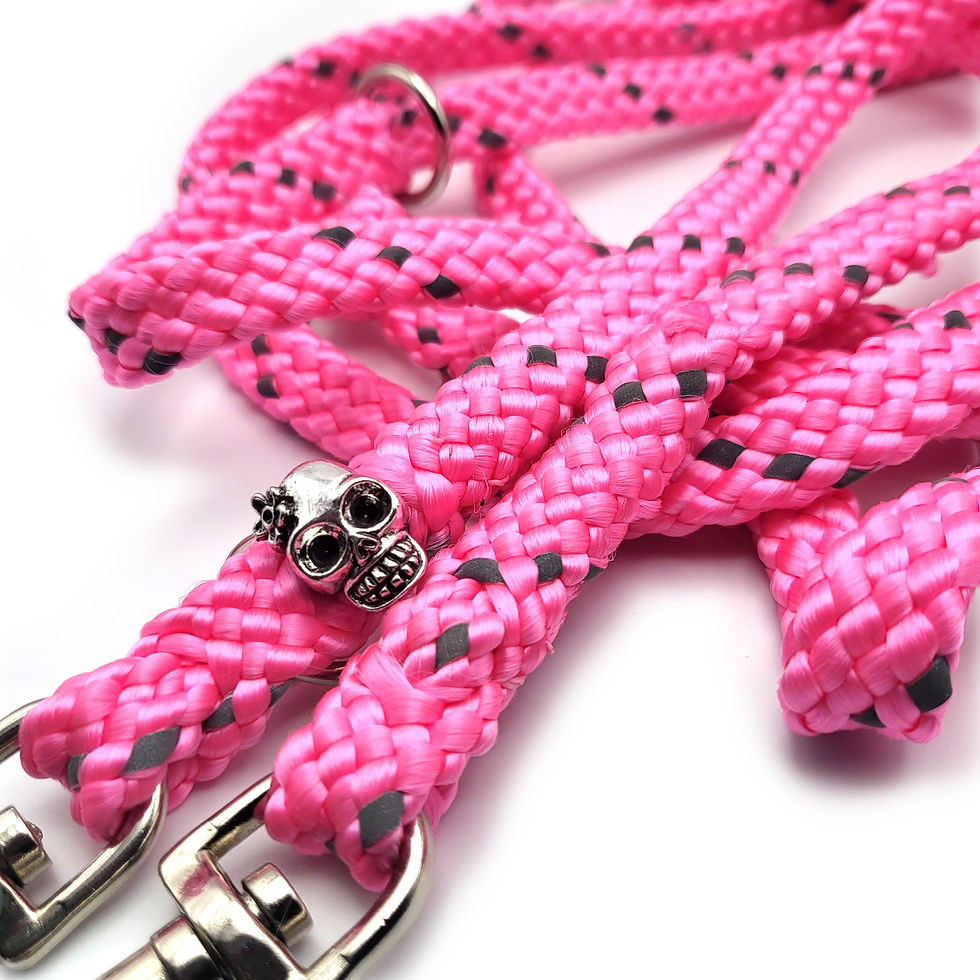 Miniaturbild: Verstellbare Leine  "Neon Rosa Reflectable & Skull"