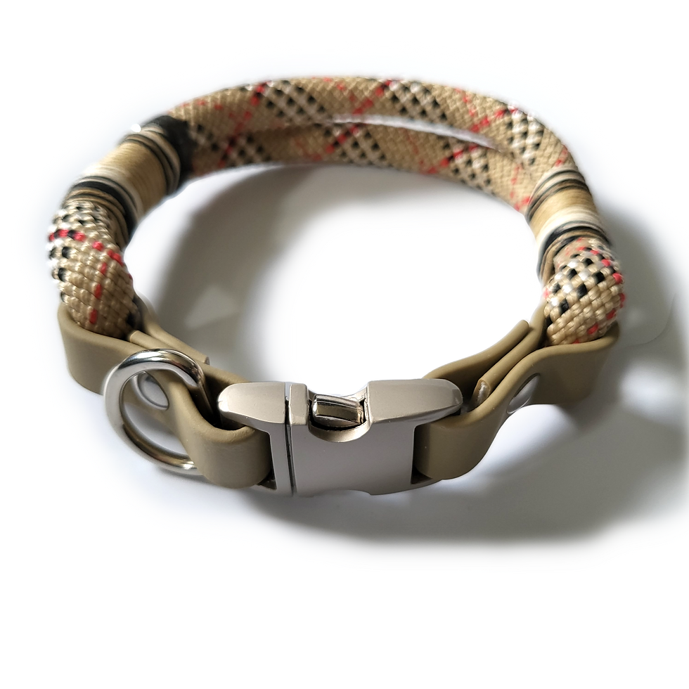Miniaturbild: Klick-Halsband Tartan Beige
