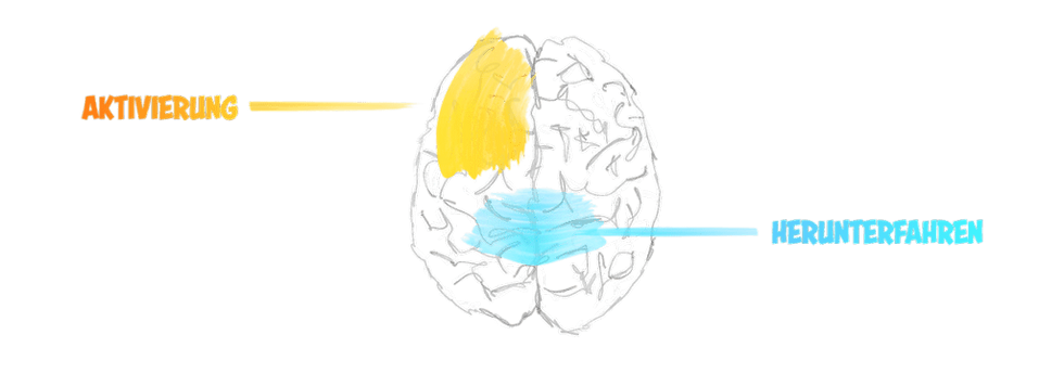 BrainPerformance-Fokus-1024x372 (1).png