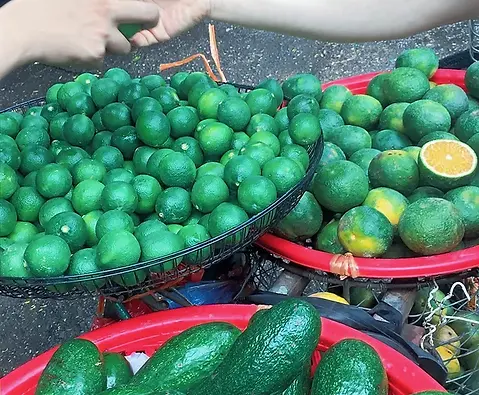 Limes, green oranges and avocados are offered for sale in red baskets.