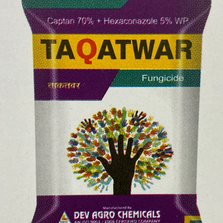 Packing : 1kg, 500g, 250g