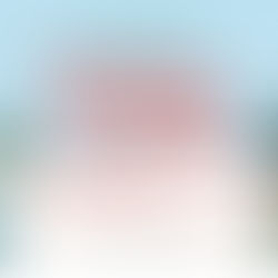 Christmas at Coleshill School