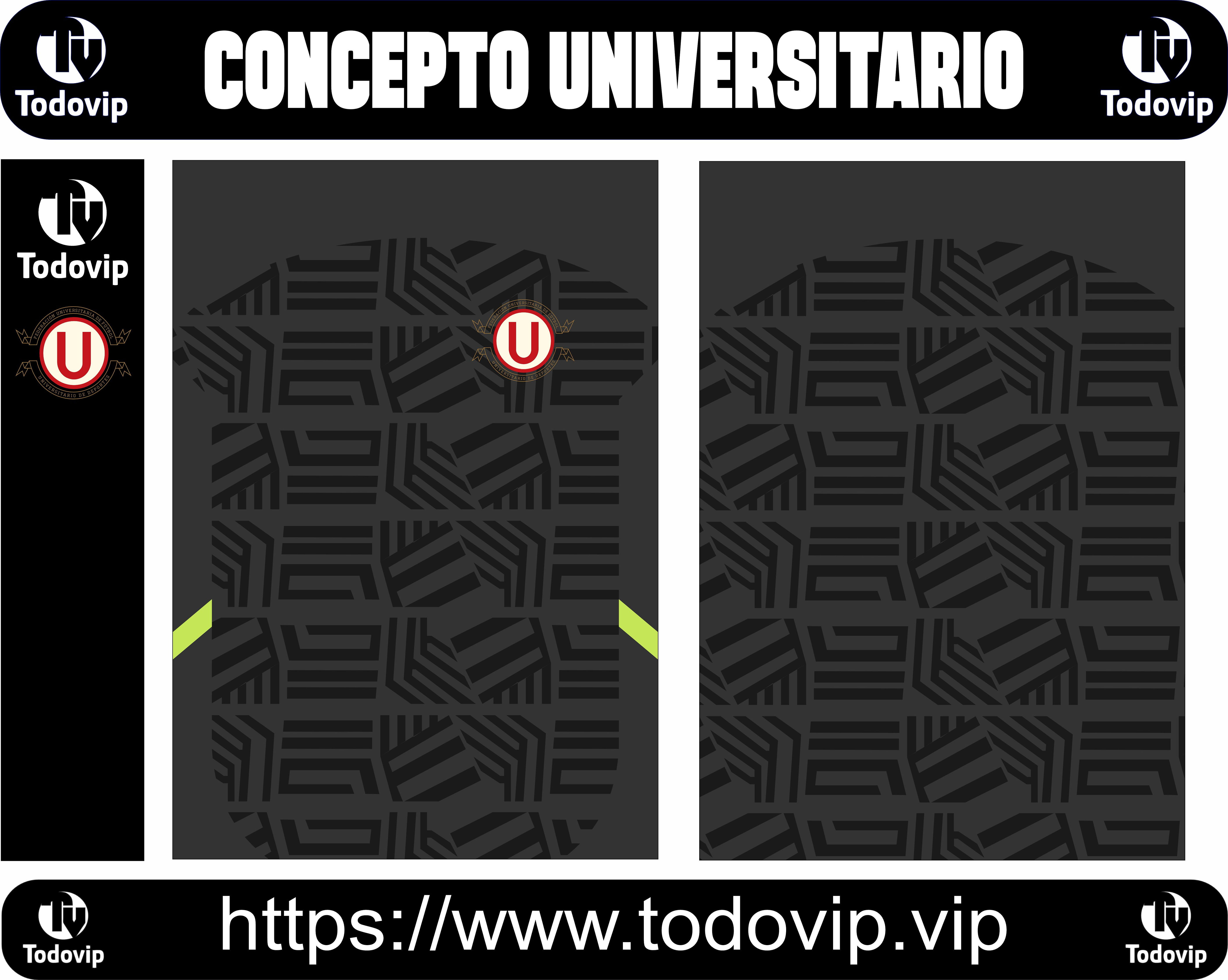 CONCEPTO UNIVERSITARIO