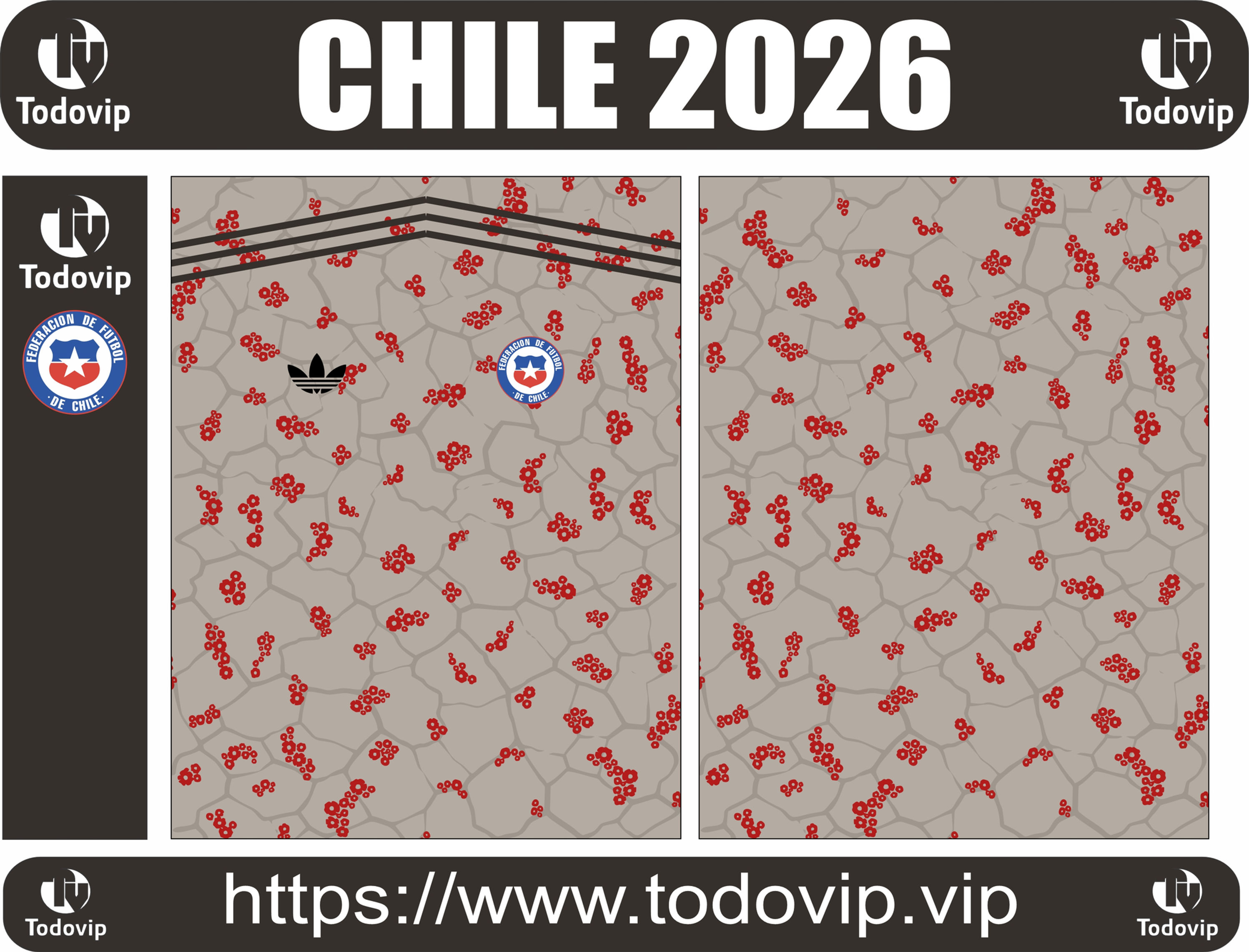 CHILE VISITA 2026