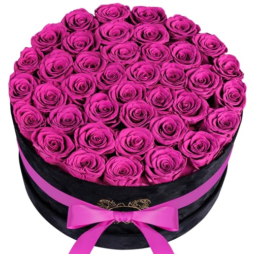 UFOREVER ROSES Luxury Preserved Roses in Suede Box - Flower Roses Gifts for Women, Valentines Day Flowers Mothers Day Roses - Birthday Flowers for Delivery Prime - 40 Pieces (Purple)