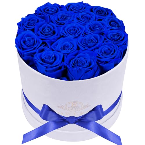 Forever Real Roses in Suede Box - 17-Piece Roses in a Box - Real Preserved Roses That Last Over a Year - Preserved Flowers for Delivery Prime - Valentine's Day, Birthday, Mother's Day (Royal Blue)
