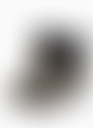 20 Lust-Worthy Cowboy Boots to Live In This Season