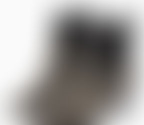 20 Lust-Worthy Cowboy Boots to Live In This Season